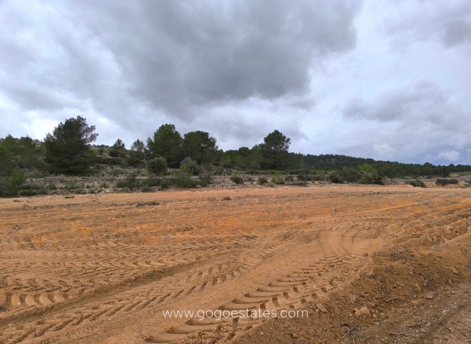 Revente - Terrain - Terrain - Monóvar - Monòver - Chinorlet