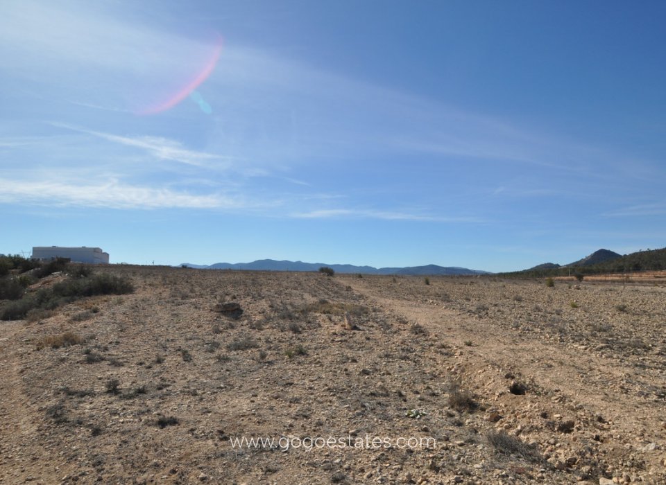 Revente - Terrain - Terrain - Monóvar - Monòver - Monóvar - Monòver Centro