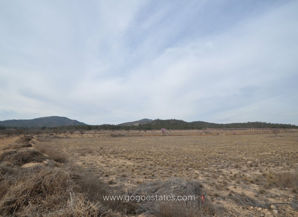 Revente - Terrain - Terrain - Monóvar - Monòver - Monóvar - Monòver Centro