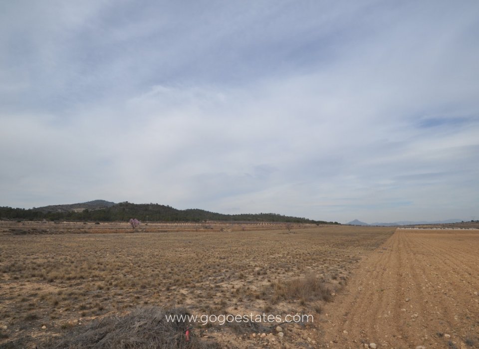 Revente - Terrain - Terrain - Monóvar - Monòver - Monóvar - Monòver Centro