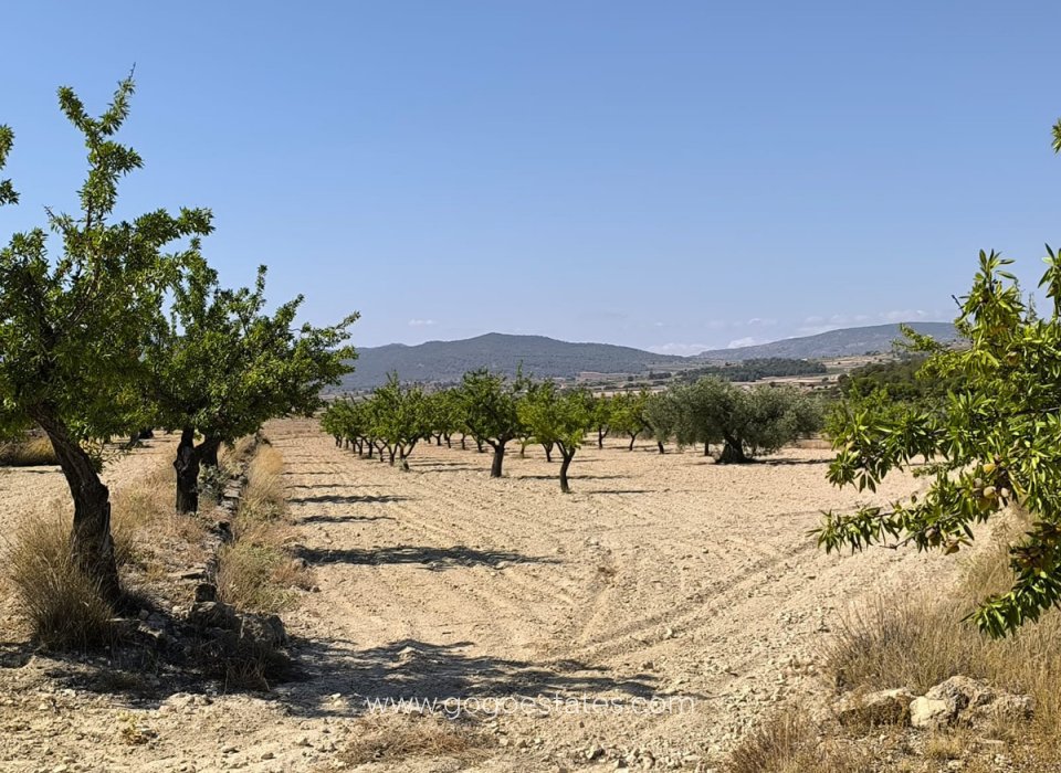Revente - Terrain - Terrain - Monóvar - Monòver - Monóvar - Monòver Centro