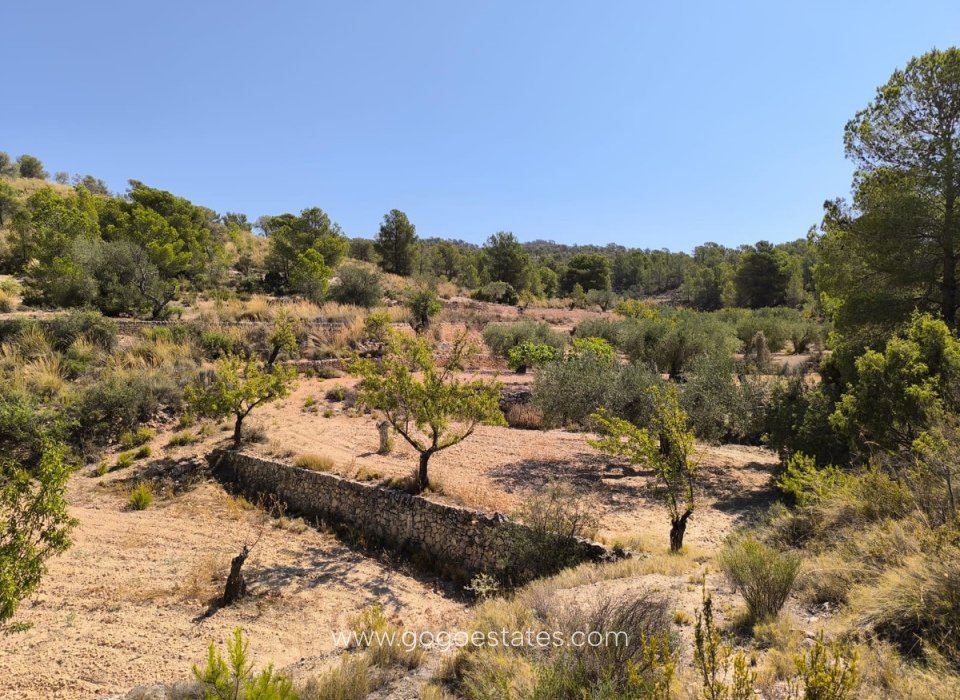 Revente - Terrain - Terrain - Monóvar - Monòver - Monóvar - Monòver Centro