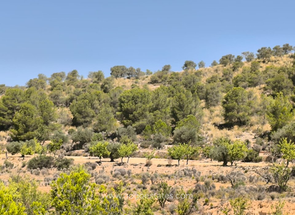 Revente - Terrain - Terrain - Monóvar - Monòver - Monóvar - Monòver Centro