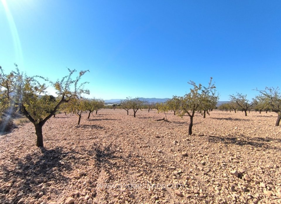 Revente - Terrain - Terrain - Monóvar - Monòver - Monóvar - Monòver Centro