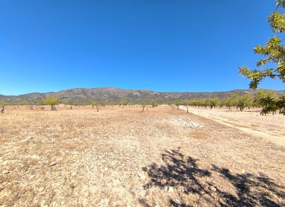 Revente - Terrain - Terrain - Monóvar - Monòver - Monóvar - Monòver Centro