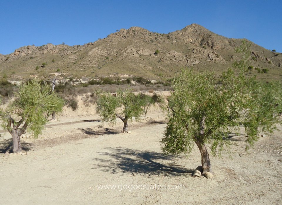 Revente - Terrain - Terrain - Murcia - Abanilla Centro