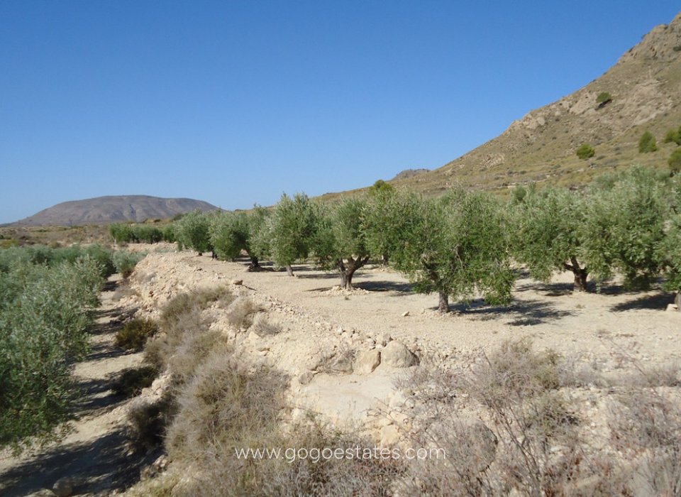 Revente - Terrain - Terrain - Murcia - Abanilla Centro