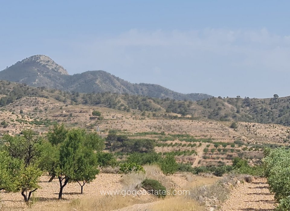 Revente - Terrain - Terrain - Murcia - Abanilla Centro