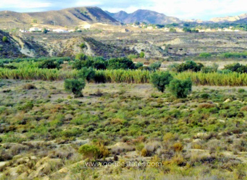 Revente - Terrain - Terrain - Orihuela - Torremendo