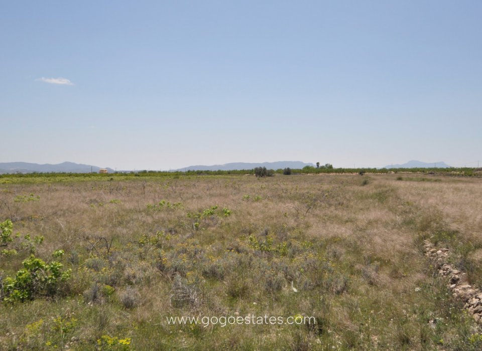 Revente - Terrain - Terrain - Pinoso - Pinoso Centro