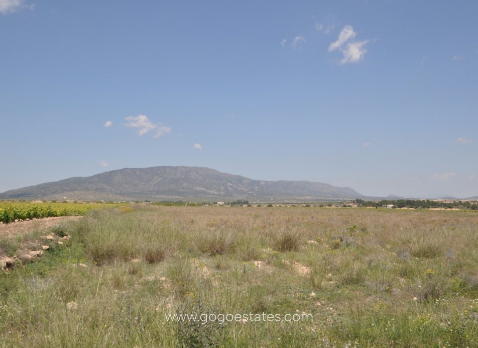 Revente - Terrain - Terrain - Pinoso - Pinoso Centro
