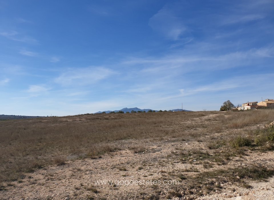 Revente - Terrain - Terrain - Pinoso - Pinoso Centro