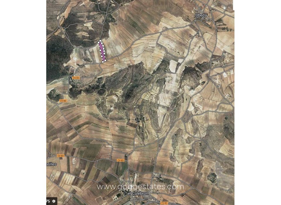 Revente - Terrain - Terrain - Pinoso - Pinoso Centro