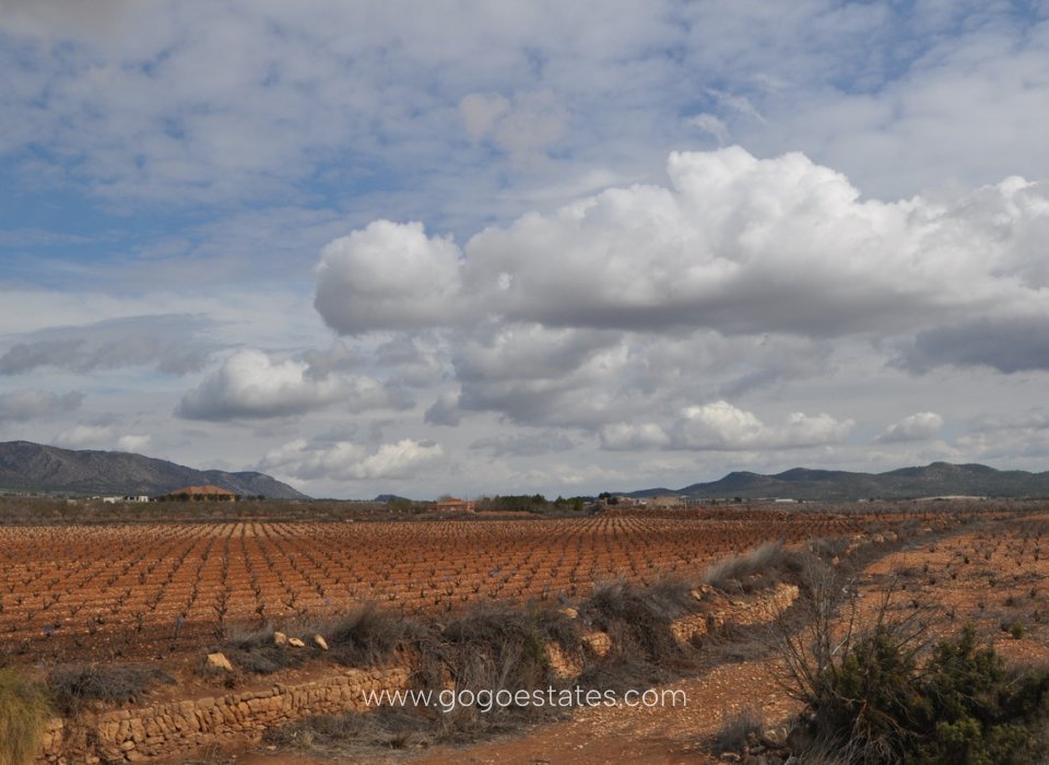 Revente - Terrain - Terrain - Pinoso - Pinoso Centro