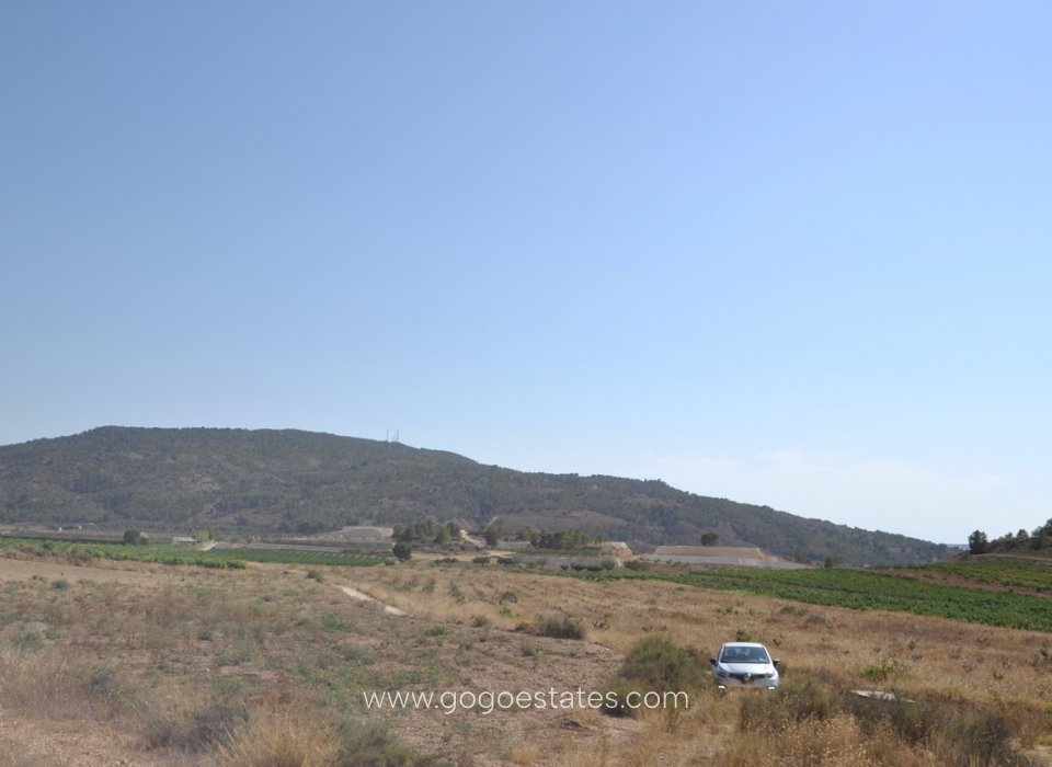 Revente - Terrain - Terrain - Pinoso - Pinoso Centro