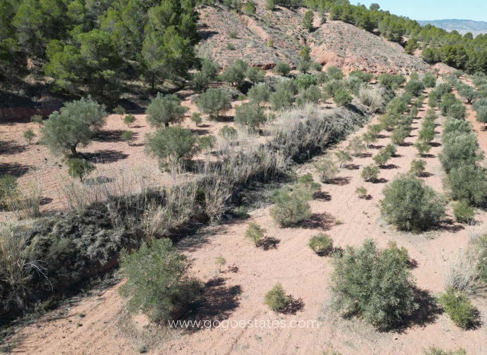 Revente - Terrain - Terrain - Pinoso - Pinoso Centro