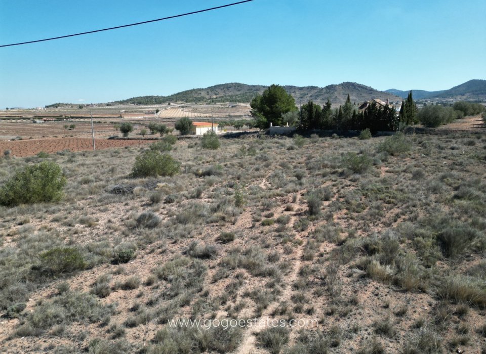 Revente - Terrain - Terrain - Pinoso - Pinoso Centro