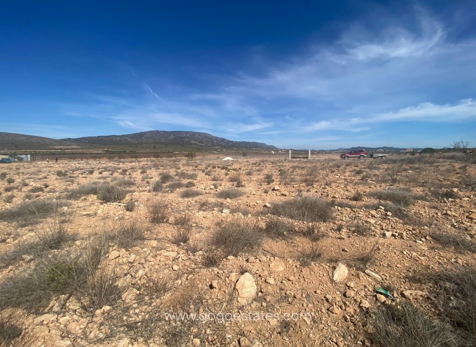 Revente - Terrain - Terrain - Pinoso - Pinoso Centro