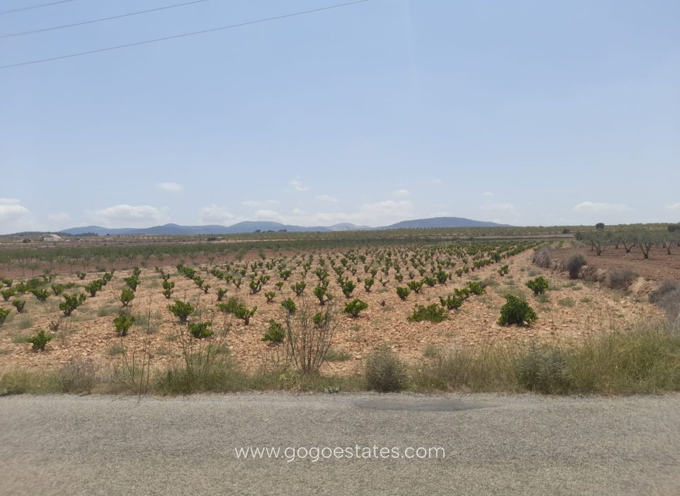 Revente - Terrain - Terrain - Pinoso - Pinoso Centro