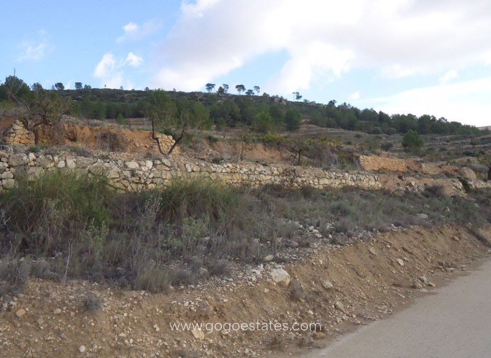Revente - Terrain - Terrain - Pinoso - Pinoso Centro