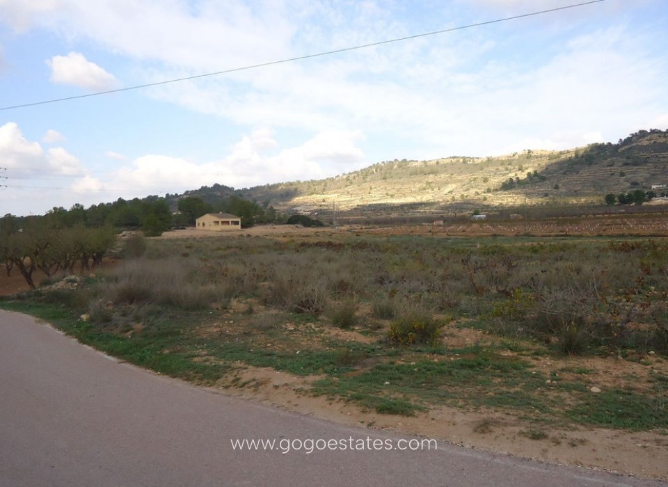 Revente - Terrain - Terrain - Pinoso - Pinoso Centro