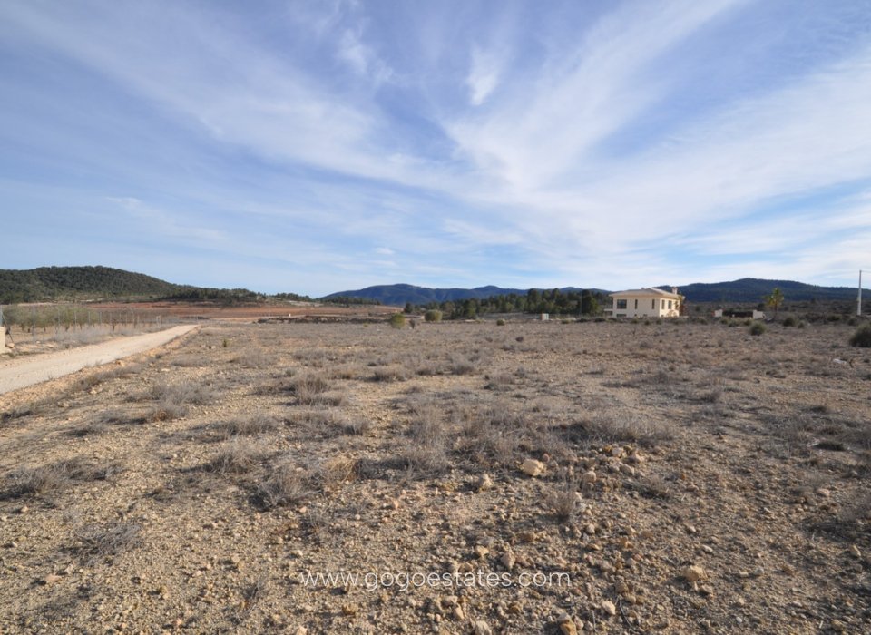 Revente - Terrain - Terrain - Pinoso - Pinoso Centro