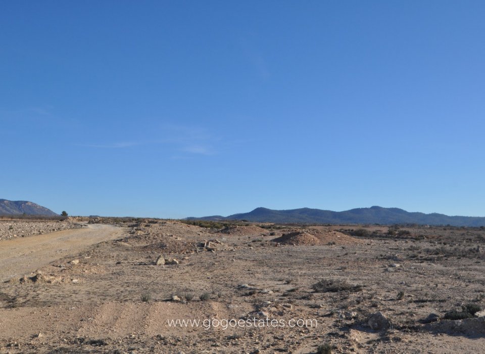Revente - Terrain - Terrain - Pinoso - Pinoso Centro
