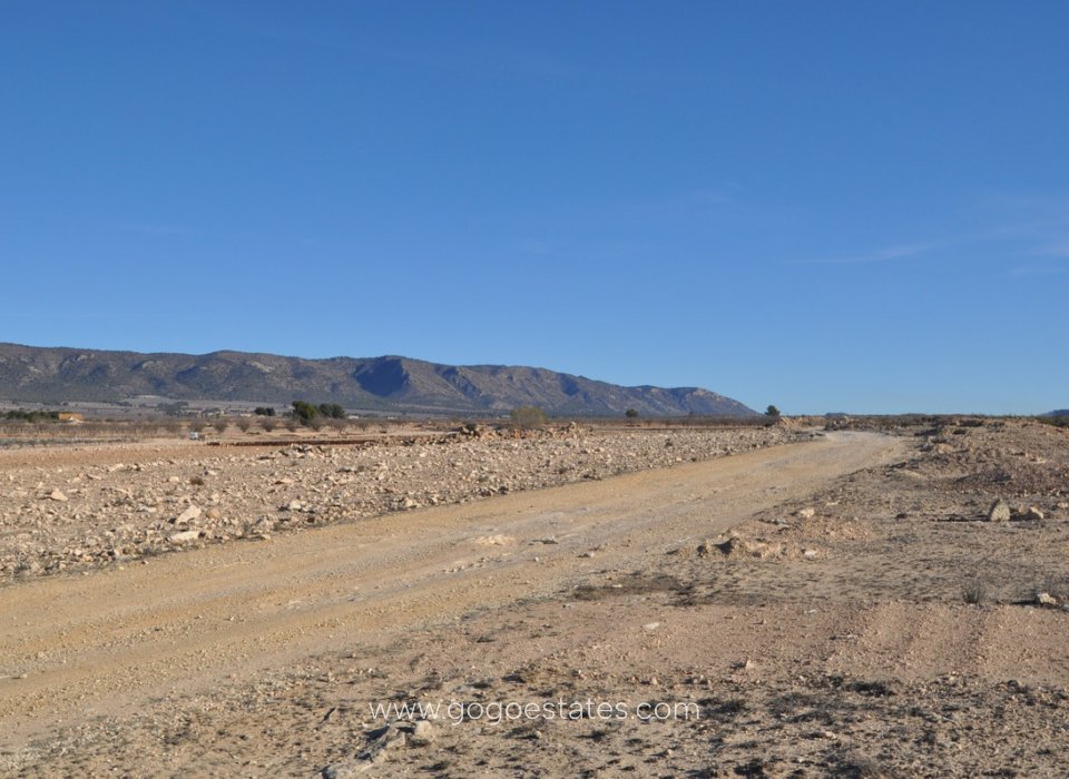 Revente - Terrain - Terrain - Pinoso - Pinoso Centro