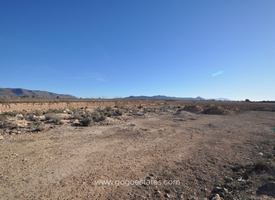 Revente - Terrain - Terrain - Pinoso - Pinoso Centro