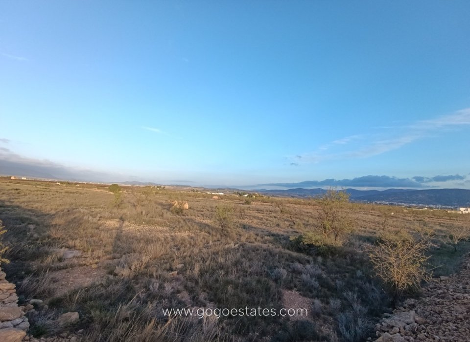 Revente - Terrain - Terrain - Pinoso - Pinoso Centro