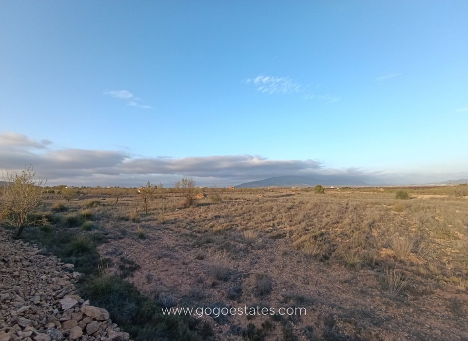 Revente - Terrain - Terrain - Pinoso - Pinoso Centro