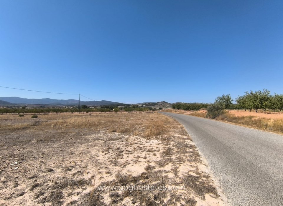 Revente - Terrain - Terrain - Pinoso - Pinoso Centro