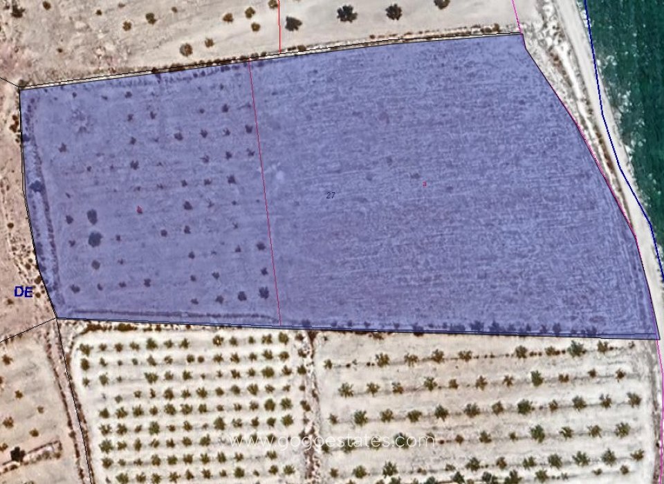 Revente - Terrain - Terrain - Pinoso - Pinoso Centro