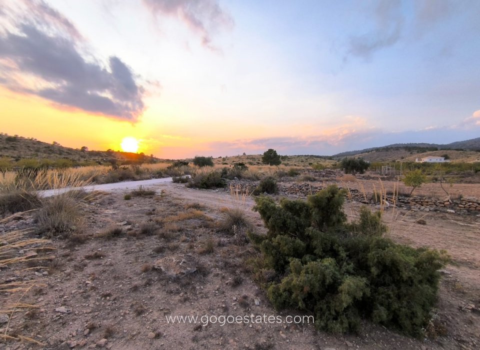 Revente - Terrain - Terrain - Pinoso - Pinoso Centro