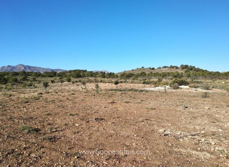 Revente - Terrain - Terrain résidentiel - Relleu - Relleu Centro