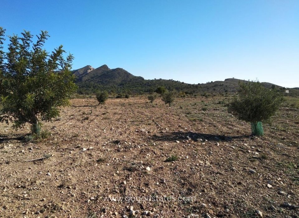 Revente - Terrain - Terrain résidentiel - Relleu - Relleu Centro