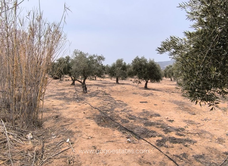 Revente - Terrain - Terrain - Villena - Villena Centro