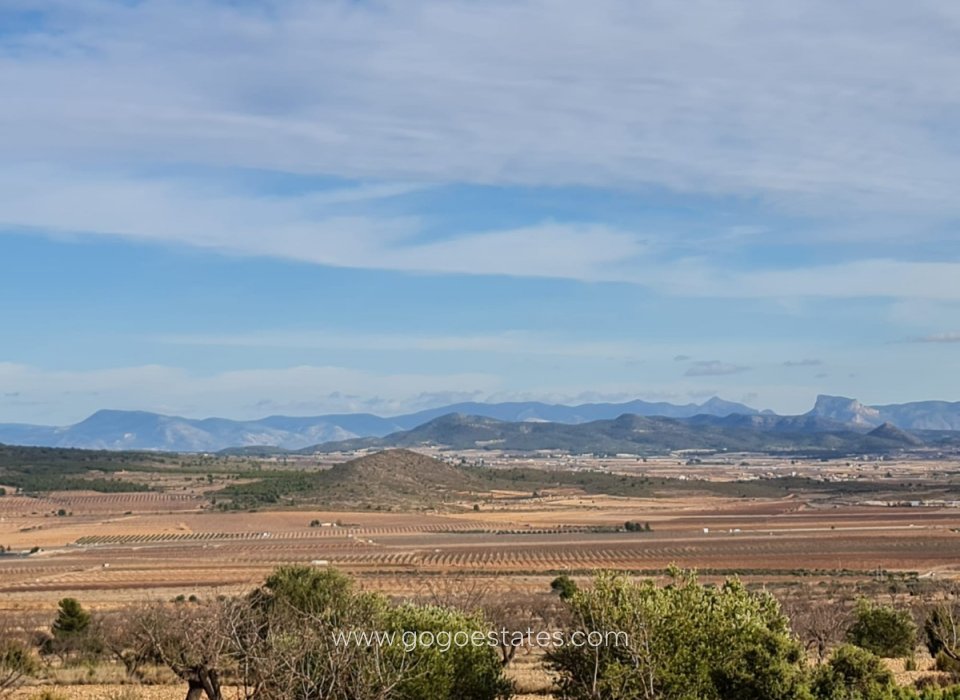 Revente - Terrain - Terrain - Yecla - Raspay