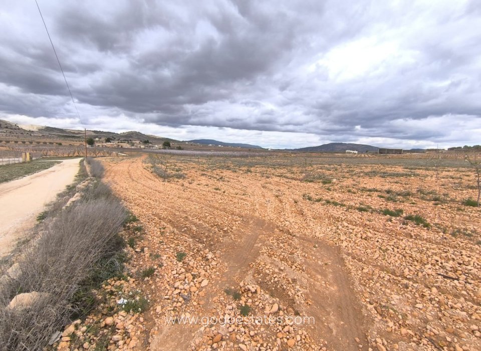 Revente - Terrain - Terrain - Yecla - Raspay