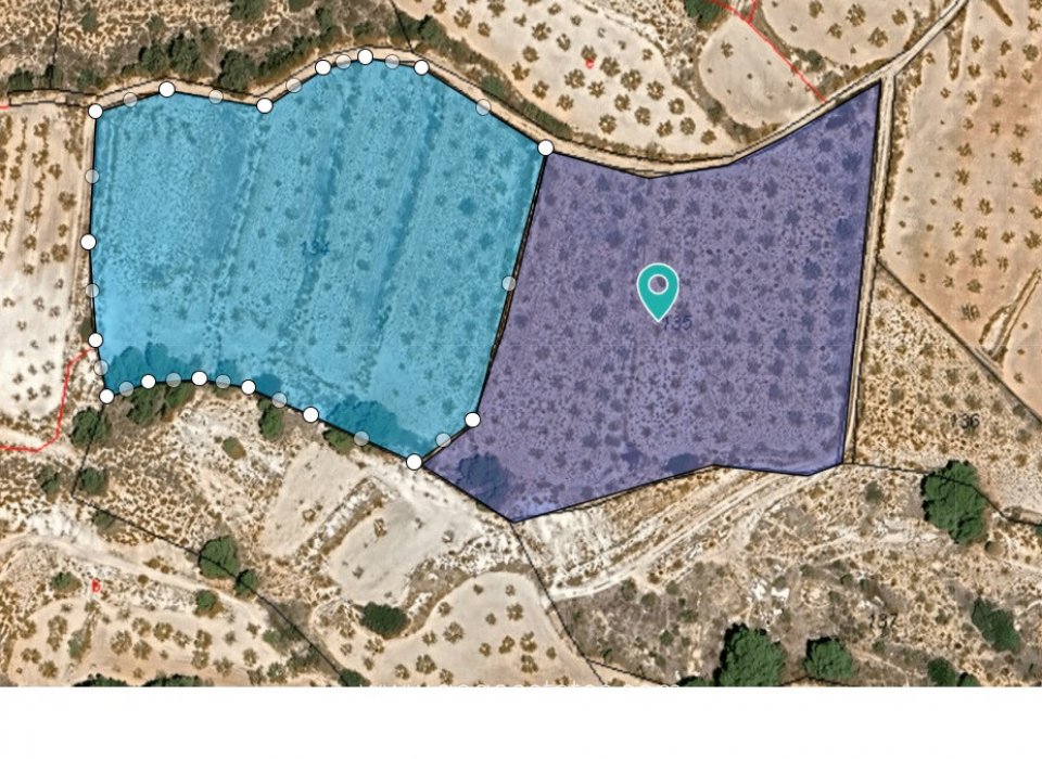 Revente - Terrain - Terrain - Yecla - Raspay