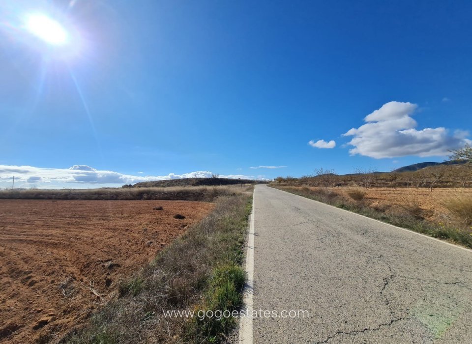 Revente - Terrain - Terrain - Yecla - Yecla Centro