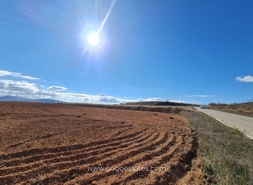 Revente - Terrain - Terrain - Yecla - Yecla Centro
