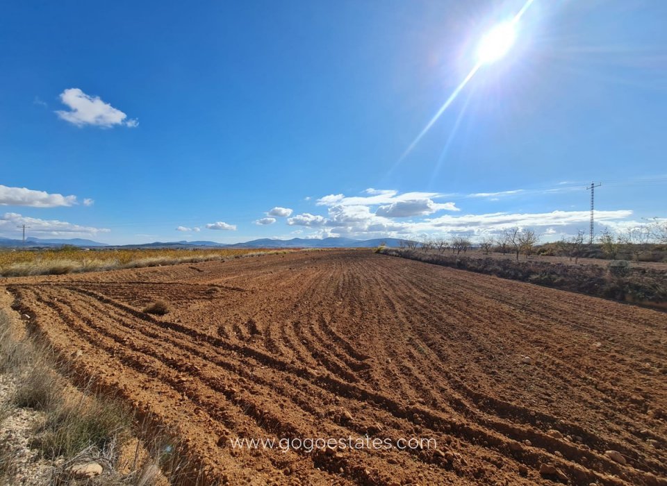 Revente - Terrain - Terrain - Yecla - Yecla Centro