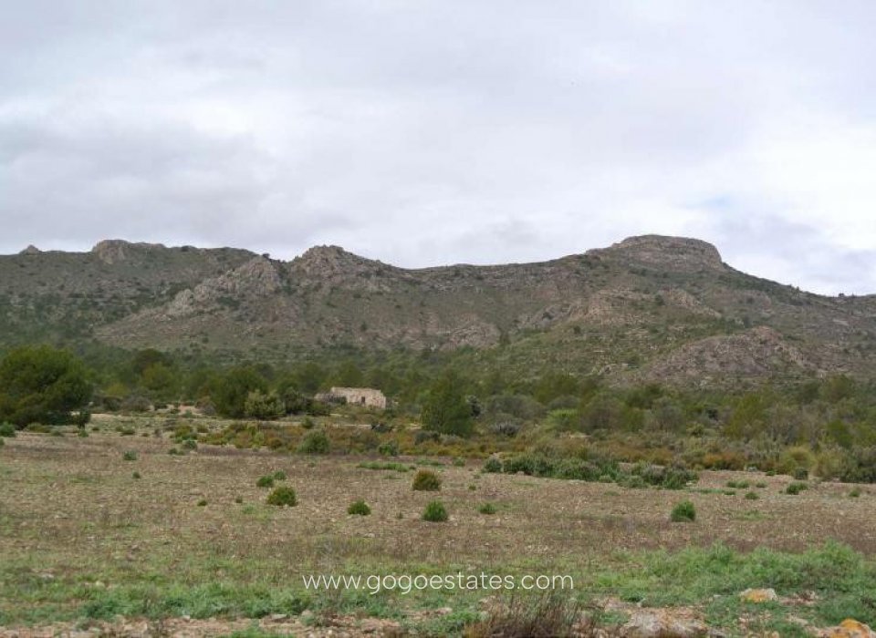 Revente - Terrain - Terrain - Yecla - Yecla Centro