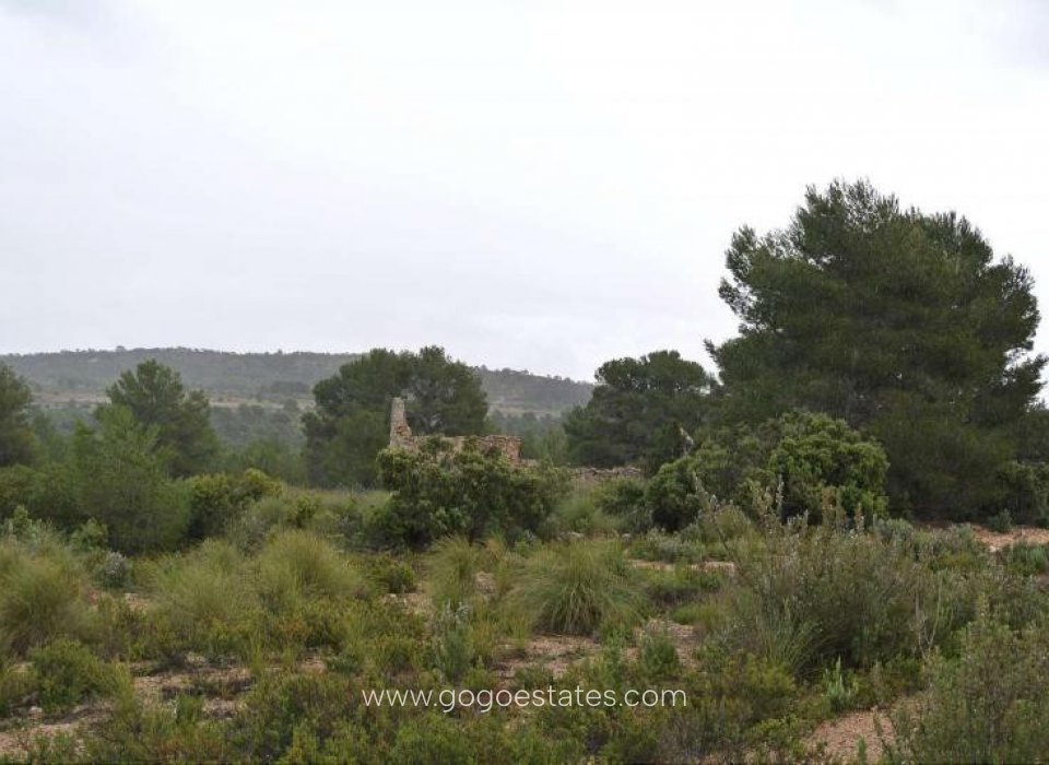 Revente - Terrain - Terrain - Yecla - Yecla Centro