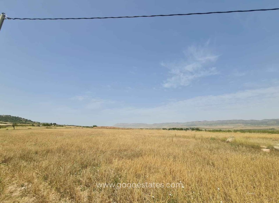 Revente - Terrain - Terrain - Yecla - Yecla Centro