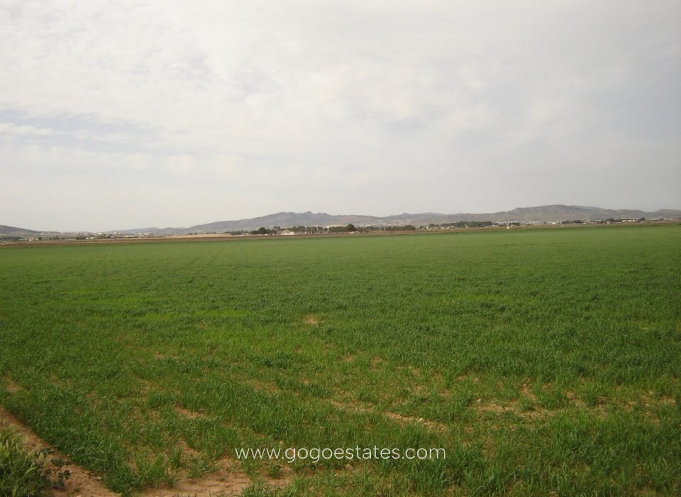 Revente - Terrain - Terrain - Yecla - Yecla Centro