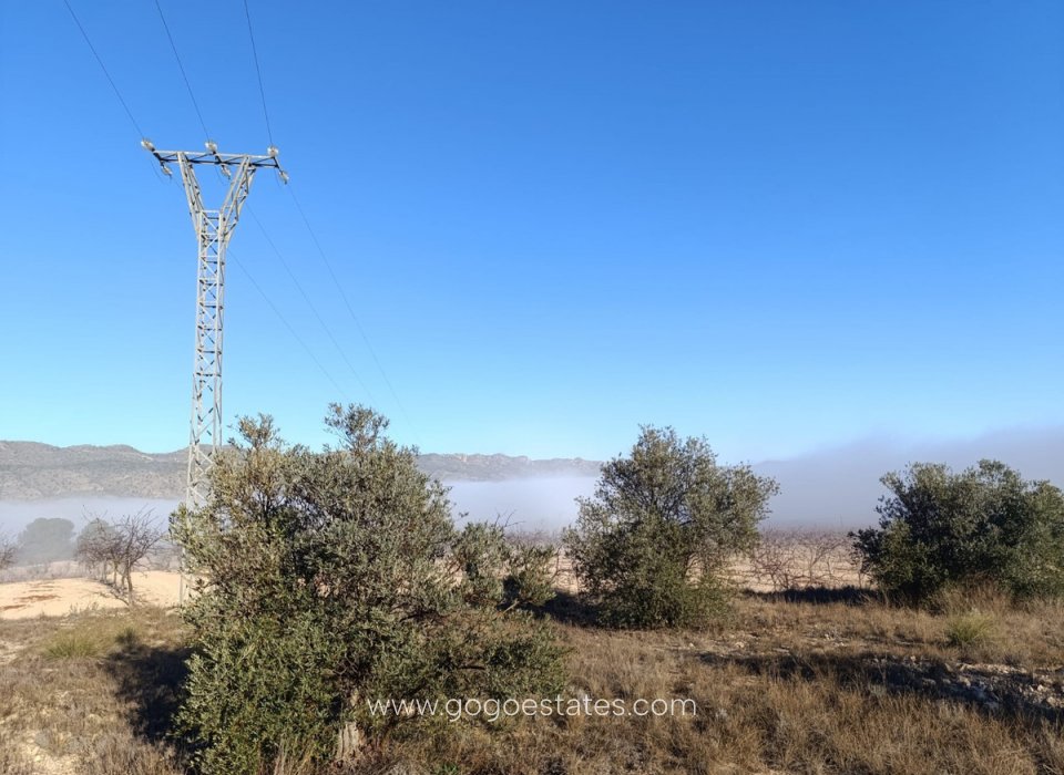 Revente - Terrain - Terrain - Yecla - Yecla Centro