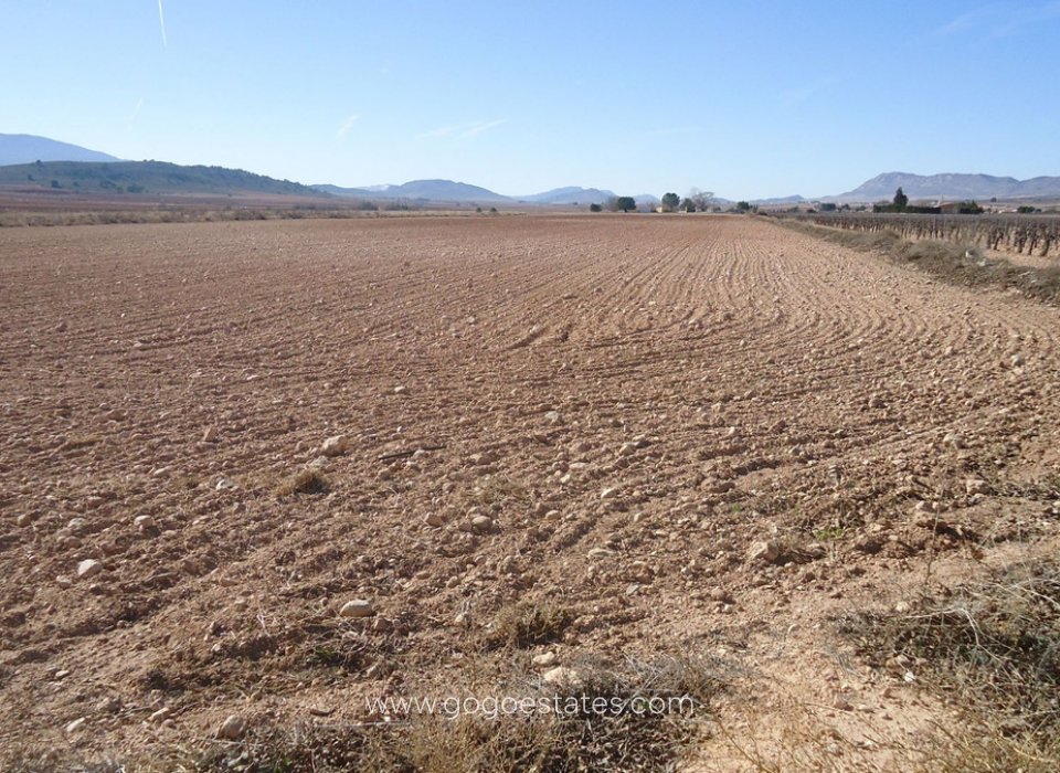Revente - Terrain - Terrain - Yecla - Yecla Centro