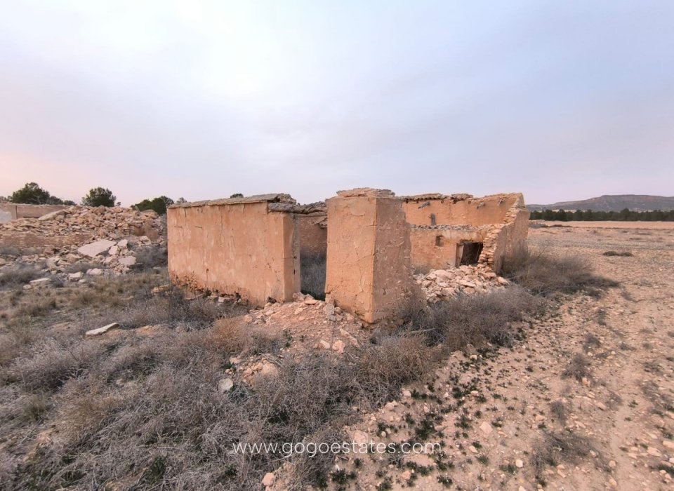 Revente - Terrain - Terrain - Yecla - Yecla Centro